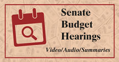 Senate Budget Hearing