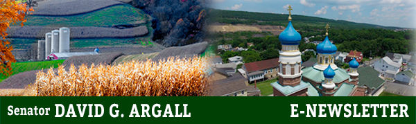 Senator David Argall E-Newsletter