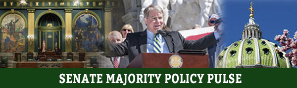 Senator Argall E-Newsletter