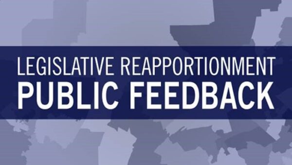 Legislative Redistricting Feedback