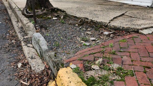 State Grant to Refurbish Orwigsburg Sidewalks
