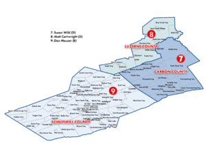 29th District Congressional Map