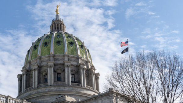 Argall Bill to Update Governor, Lieutenant Governor Disability Procedures Approved in Committee