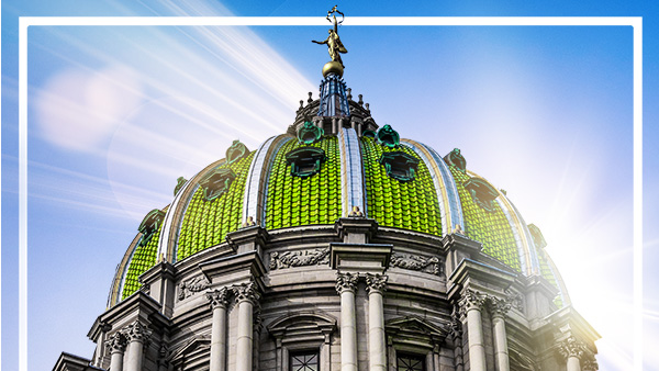 Argall: Senate Approves Bipartisan State Budget