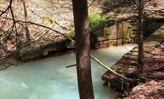 E-news Updates – March 20, 2026