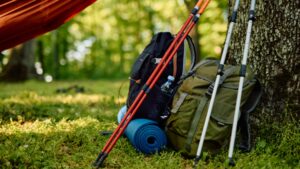Two backpacks and sets of hiking poles lean against a tree in a densely wooded area.