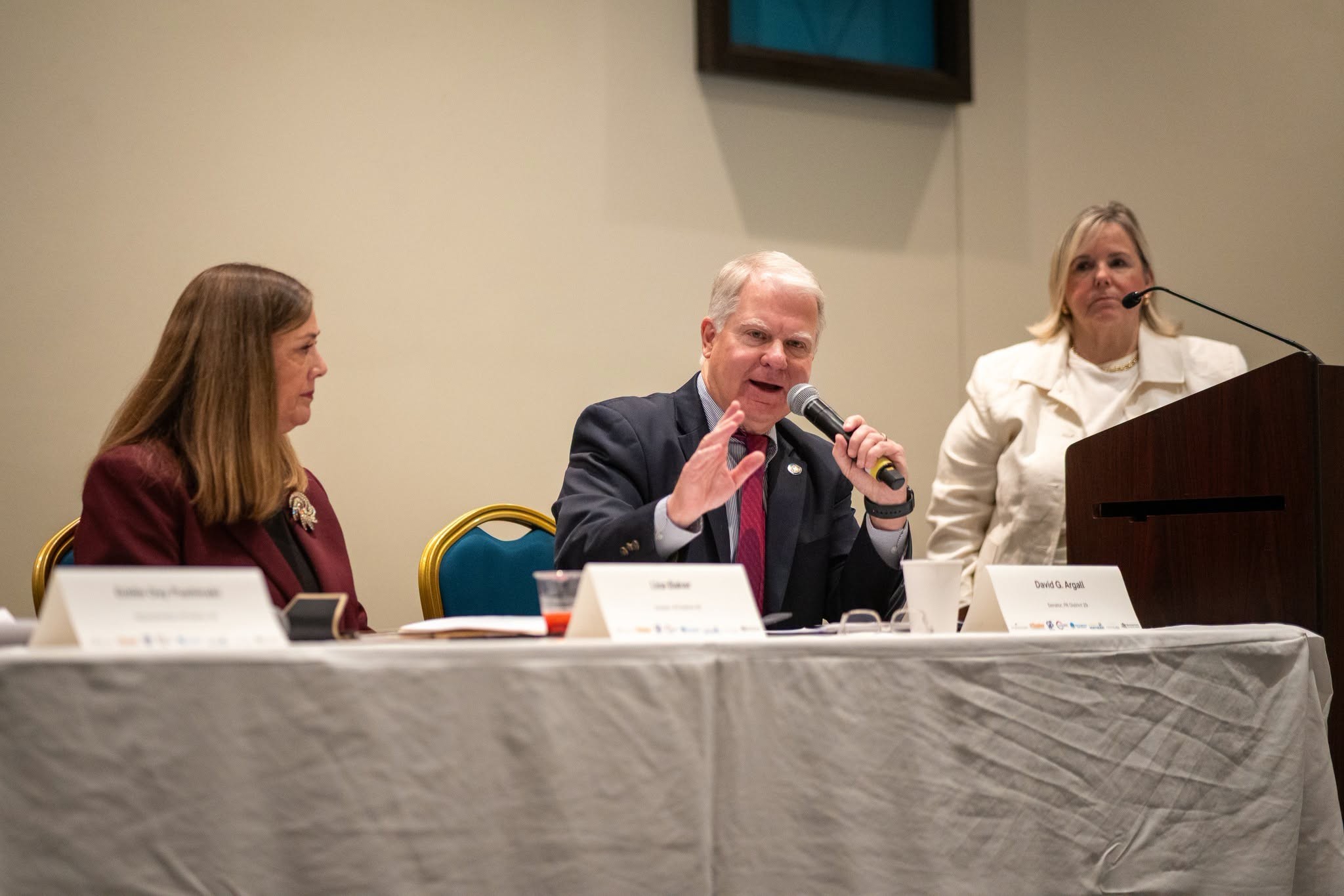 Sen. Argall speaking at the LEAD Roundtable.